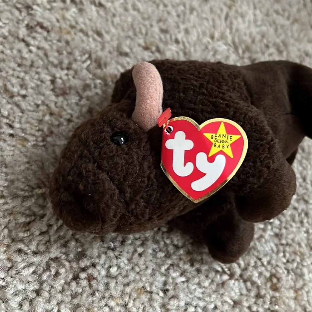 Ty this adorable